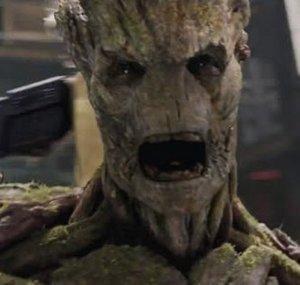 Groot