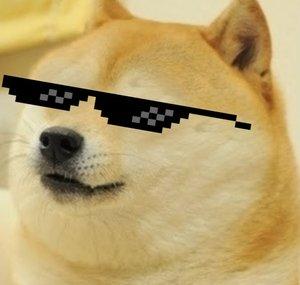 J BroDoge677