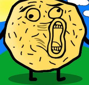 KartoffelPuffer