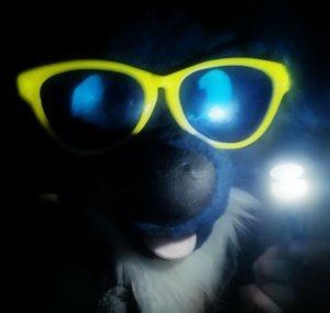 Lu the ASMR Dog