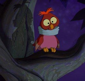 MadOwl