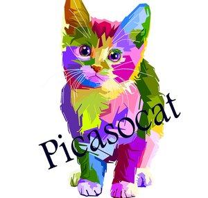 Picasocat