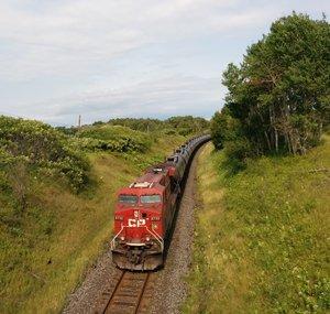 Railfan Amber