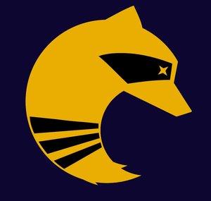 Team Procyon