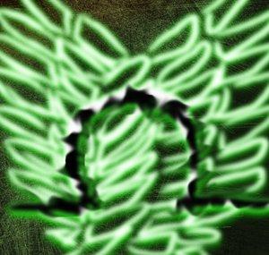 The Broken Genesis