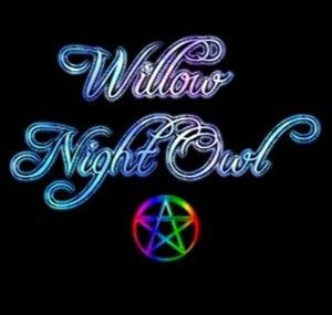 Willow Night Owl- -Lindy-