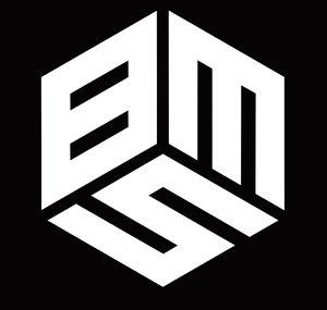 bmS