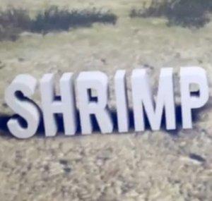 IShrimpFin