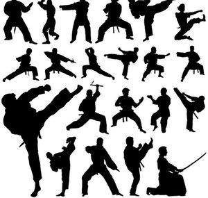 MMA History