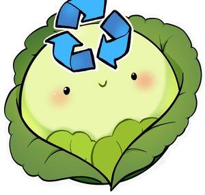 RecycledCabbage