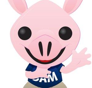 SamTheHamTV