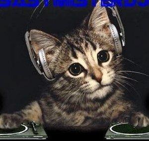 sasymisterdj