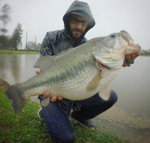 Ty PigPatrol