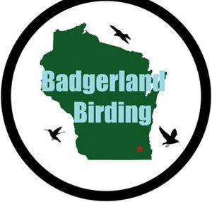 Badgerland Birding