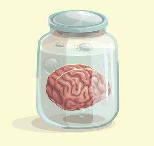 Brain in a Vat
