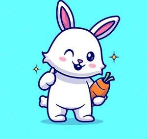 Funny Bunny YT