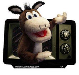 kevinmule