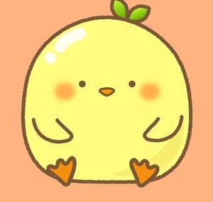 NomNom Peepy 냠냠 뺙뺙이