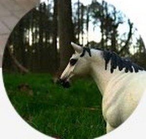 SchleichHorseGirl11
