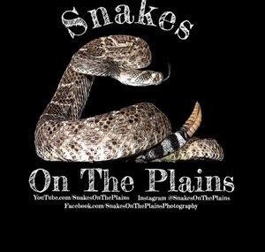 Snakes on the Plains
