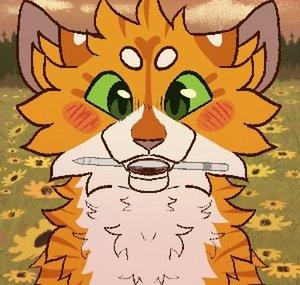 ThisCatIsOnFire