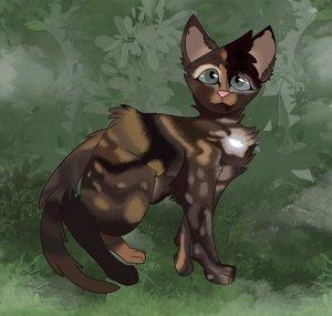 Willow Da Kitten