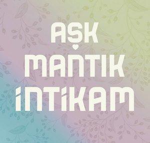 Aşk Mantık İntikam