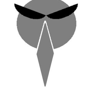 BlindRaven
