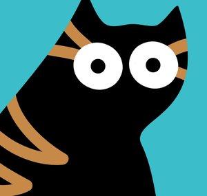 Cat CATastrophes
