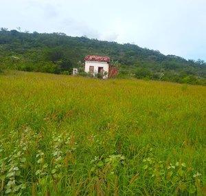 confins Bahia