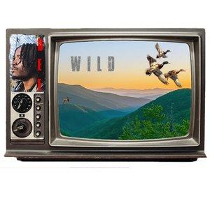 DeeWildtv