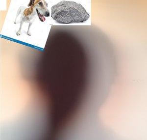Dogrock