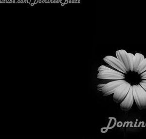 DomineerBeatz