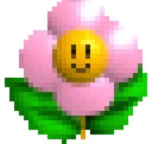 maple vault