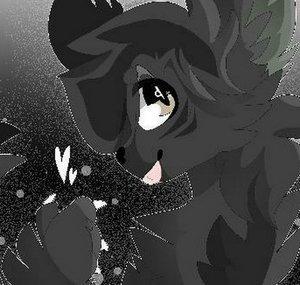 NeeyeWolfz shy
