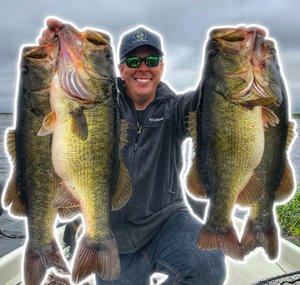 The Bass Guy