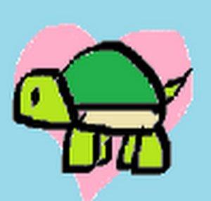 TurtlesOfTheHeart
