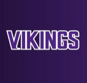 Vikings Syndicate