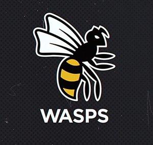 Wasps Rugby