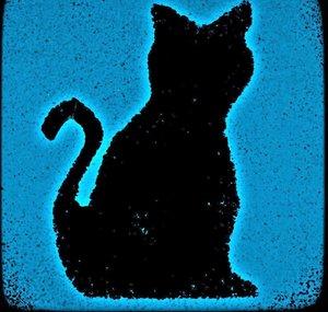 1catbob