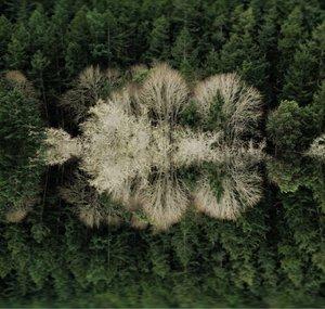 Aberration Pictures
