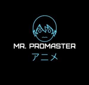 Mr. ProMaster