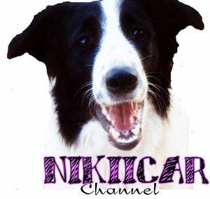 NikiiCar