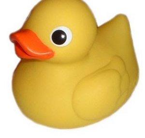 SmakADuck