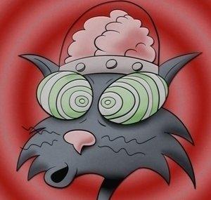 Brain In A Cat
