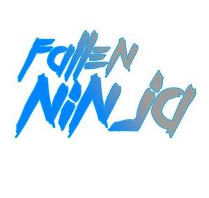 FallenNinja
