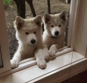 Heike & Udo
