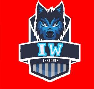 Insanity Wolfs e-sports