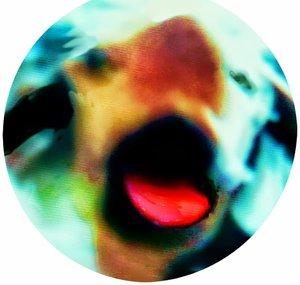 ISTDASNOCHMUSIK™
