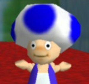 Team Blue Toad
